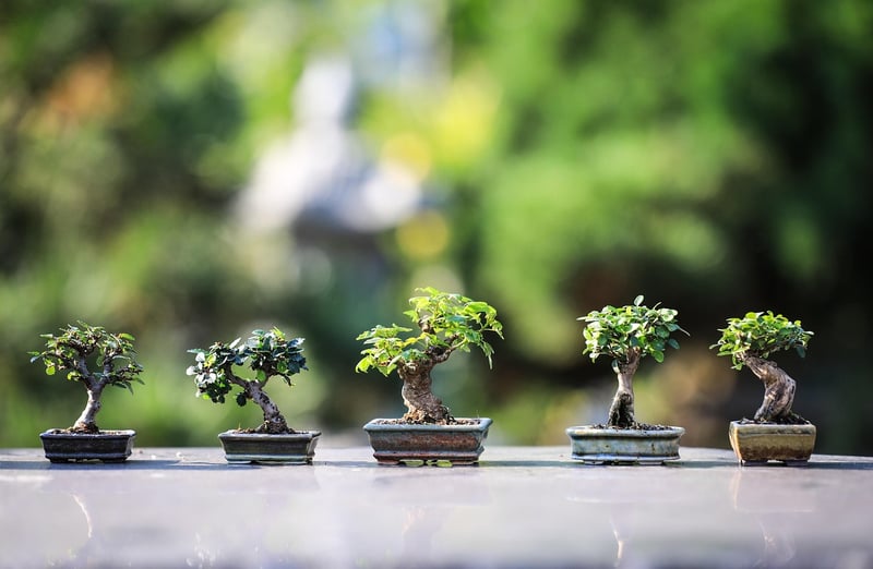 Fairy Garden Accessories